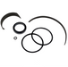 Robo-Arm Cylinder Seal Kit, 2.5" for Coats TC
