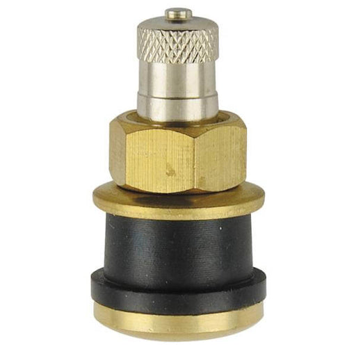 TR575 - Clamp-In Truck Tire valve - 1.13" - Straight - 100pk