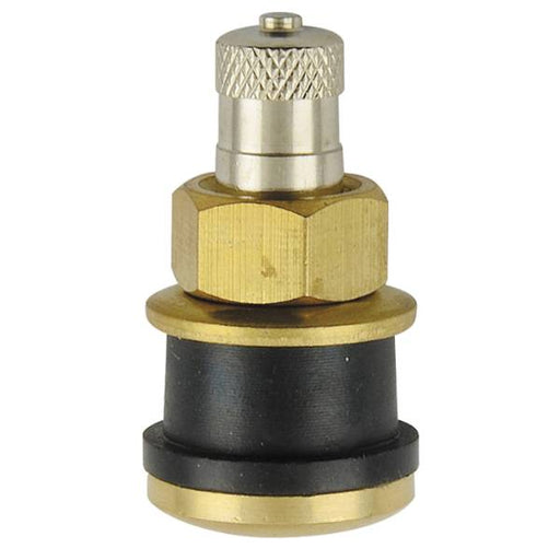 TR575 - Clamp-In Truck Tire valve - 1.13" - Straight - Each