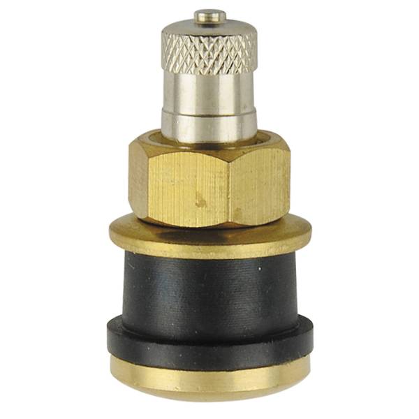TR575 - Clamp-In Truck Tire valve - 1.13" - Straight - Pack of 10
