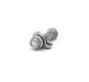 Camber Bolts,12.9 level ,grey color, 17mm