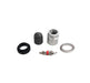 Hamaton TPMS Service Kit 6 117, Pack of 10, Pacific LFB1/LFC1